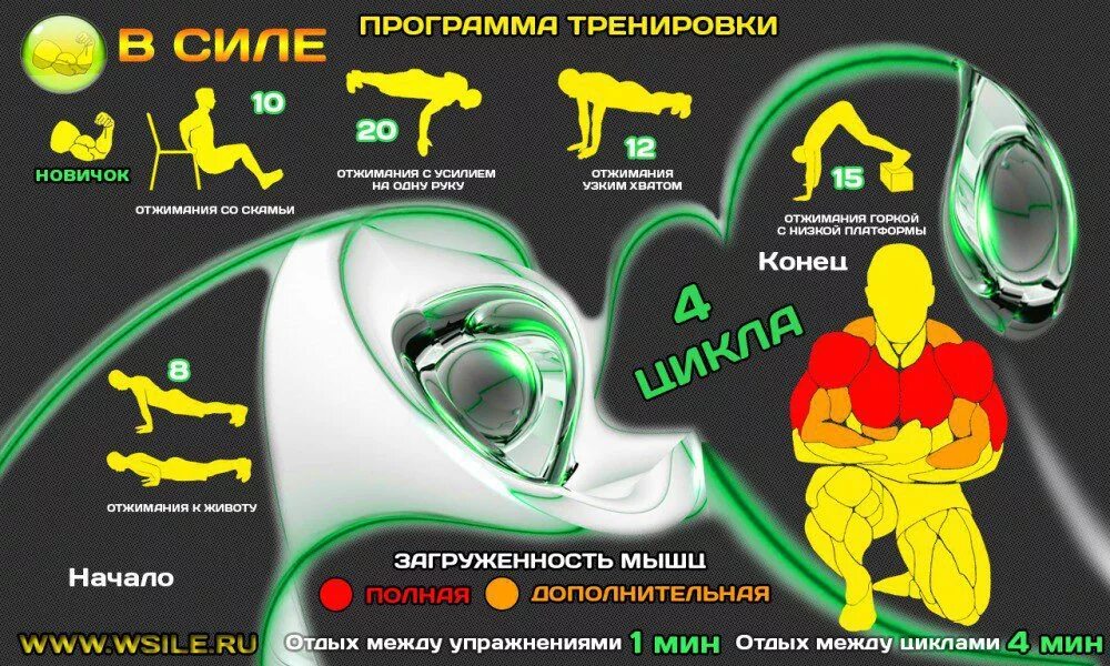 Усилие программа. Програматренеровак дома. программа тренировок. программа тренировок дома. программа тренировок на силу.