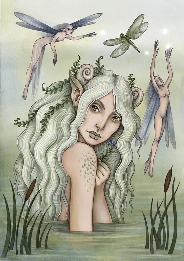 Рисунок оракула