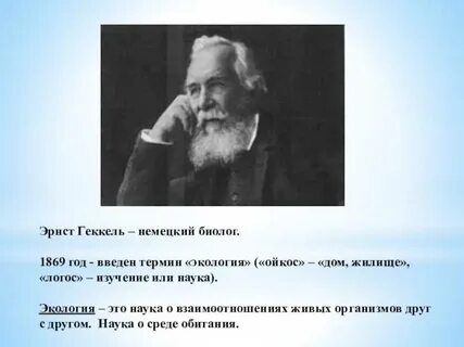 Немецкий биолог э геккель писал в 1904