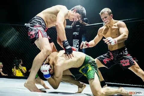 But fight
