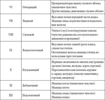 Черепные ядра таблица