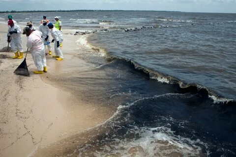 Вода в заливе сейчас
