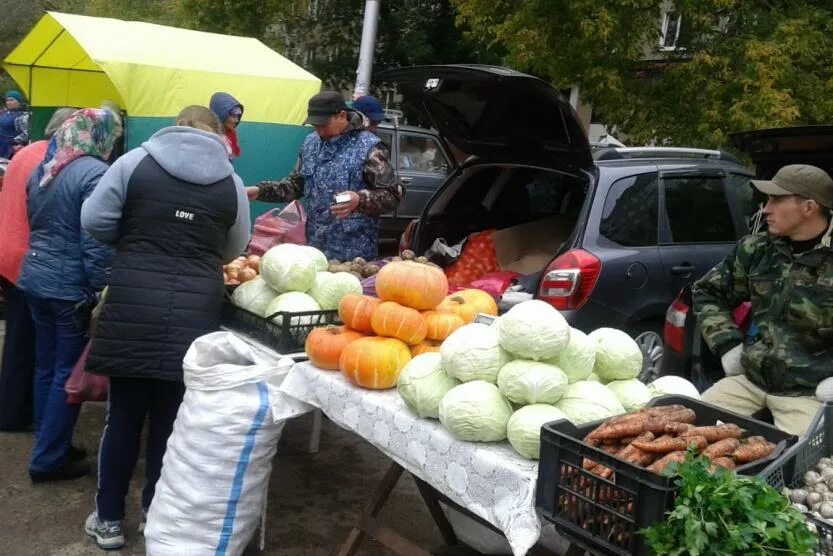 Сельскохозяйственная ярмарка. Осенние ярмарки в уфе. Ярмарка уфа. Рынок ярмарка. Демчане базар.