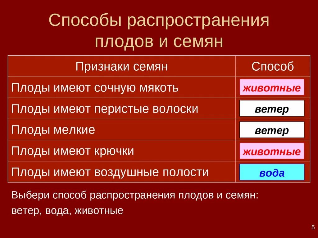 Каким способом распространяется. Способы распространения семян. Способы распространения плодов. Пути распространения семян и плодов. Распространение плодов и семян таблица.