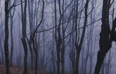 Мгла из всех болот