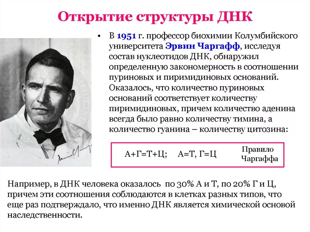 Эрвин Чаргафф ДНК. Эрвин Чаргафф открытие ДНК. Эрвин Чаргафф вклад в биологию. Открытие молекулярной структуры ДНК.