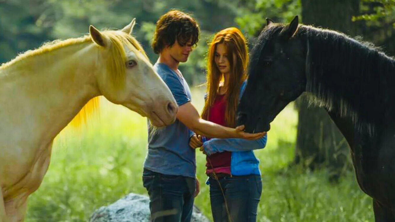 Фильм оствинд 3. Фильм оствинд 4. Оствинд восточный ветер. Ханна бинке и лошади. Восточный ветер 6 дата выхода.