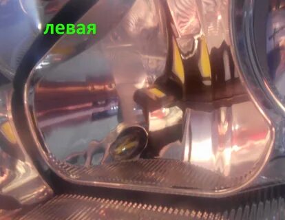 Дальний калина 1