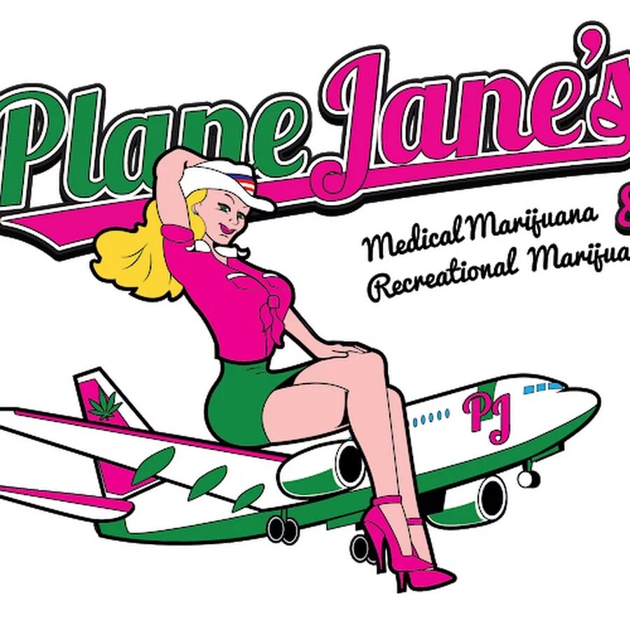 Plane Jane. Plane Jane табак. Emine plane Jane. Самолеты Джейн плакат.