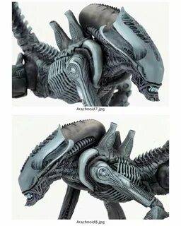 Aliens NECA Predator 1, Arte Alien, Xenomorph, Neca, Aliens, Colonial, Jung...