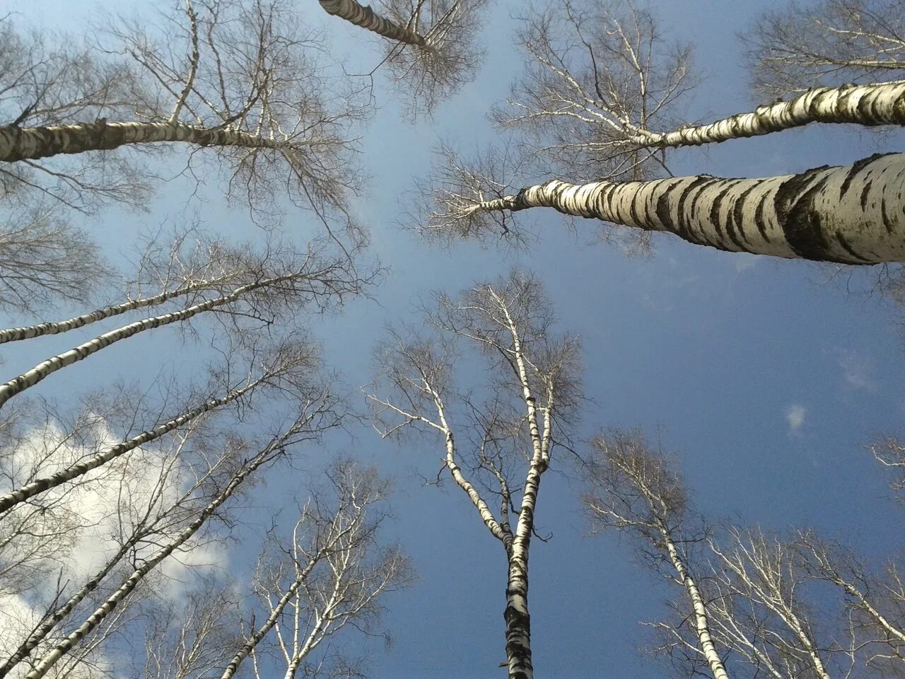 Утро апрель. Ясный весенний день. Курск ветер. Солнечный Курская область.