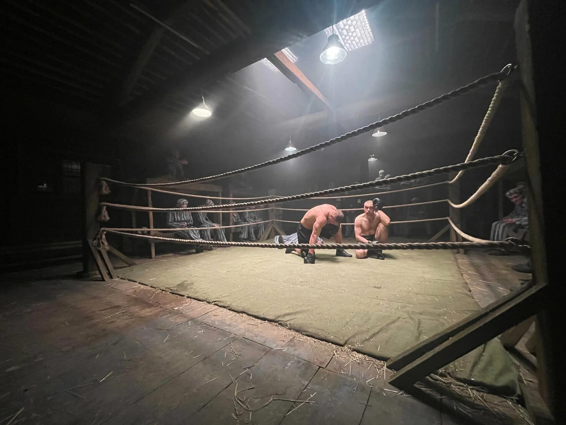 вышел на ринг за 3000 долларов