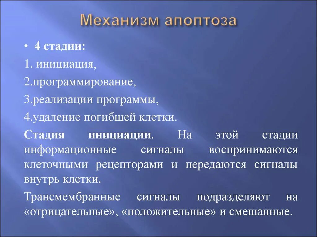 Через 1 стадии. Механизм апоптоза. Механизм развития апоптоза. Стадия инициации апоптоза. Стадии развития апоптоза.