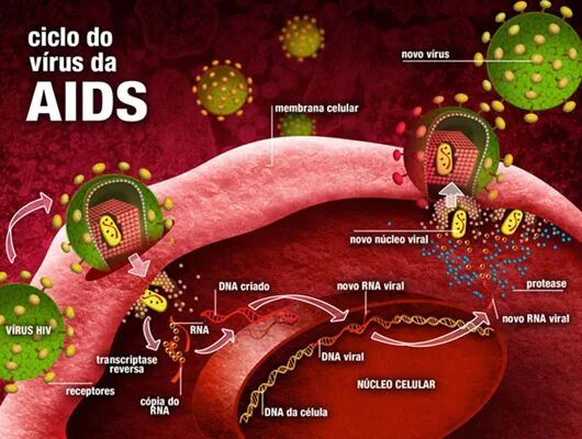 Спид версия песни. Вирус СПИДА. Вирус иммунодефицита человека (Human Immunodeficiency virus). СПИД бактерия.