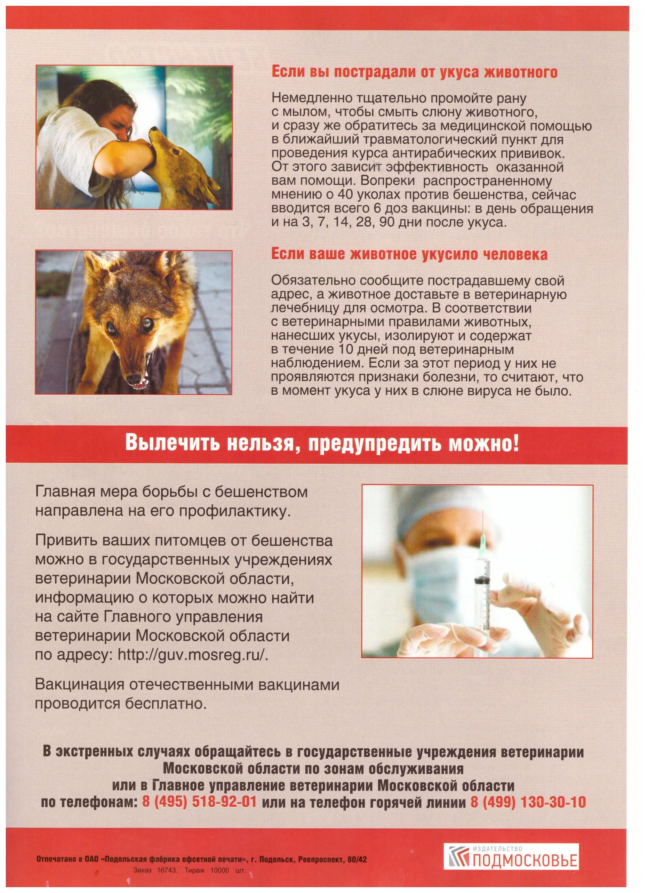 Бешенство памятка. Уколы от бешенства ребенку после укуса собаки. Первая помощь собаке при укусе змеи. Памятка что делать если укусила собака. Прививка после укуса собаки ребенку.