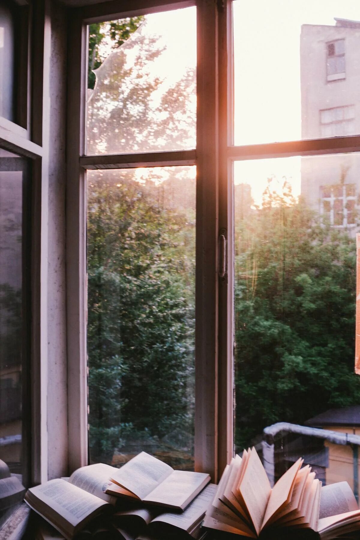 Из ее окна книга. Вид из окна. Книга на окне. Вид из окна с подоконником. Окно Эстетика.