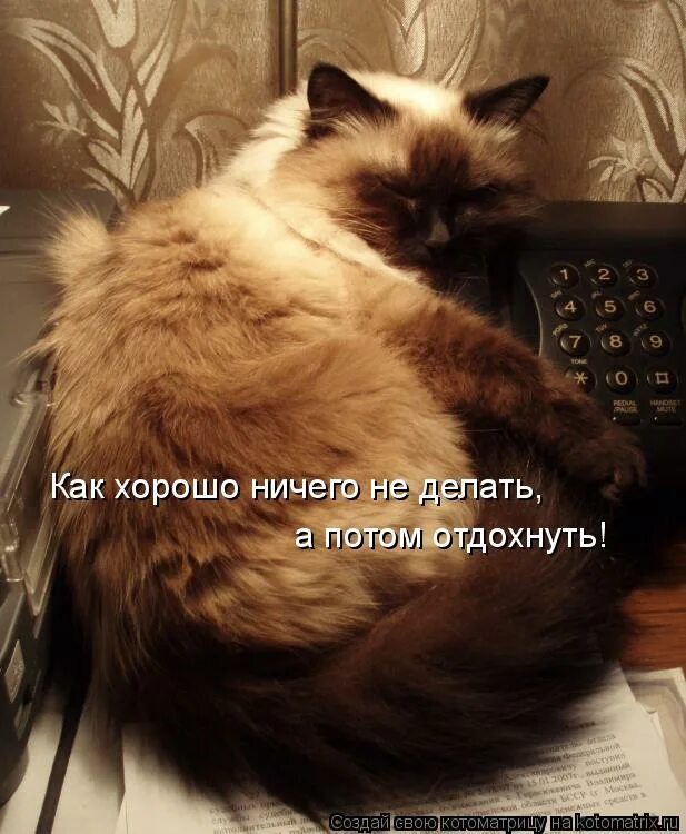 хорошо возвращаться туда где тебя ждут. статусы про любовь жизнь и смех. как изменился ты сам. ничего хорошего панк группа. ничего здоровее будете.