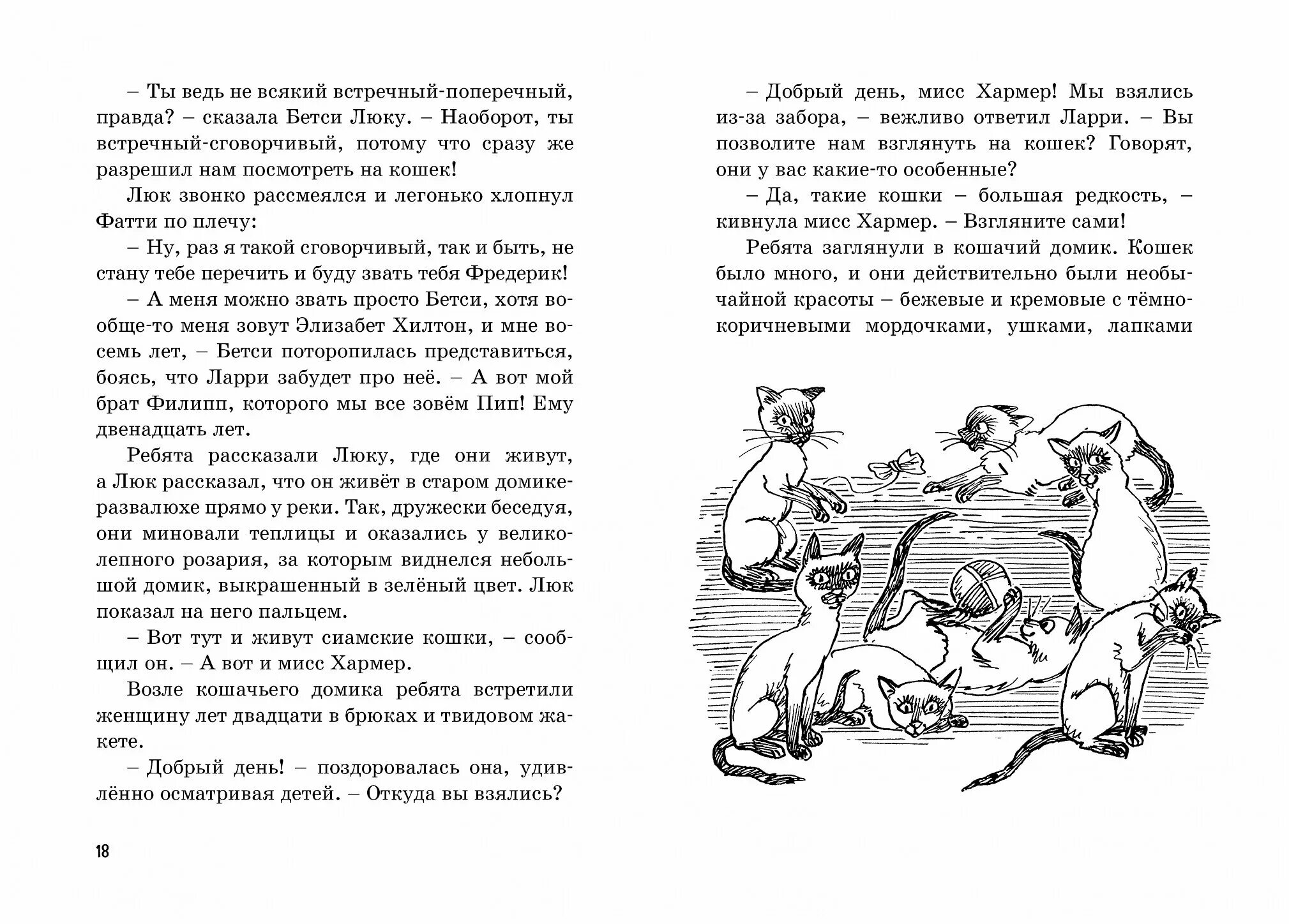 Энид Блайтон тайна исчезнувшей кошки. Тайна пропавшей кошки. Энид Блайтон тайна пропавшей кошки. Тайна пропавшей кошки Энид Блайтон книга. Тайна пропавшей книги