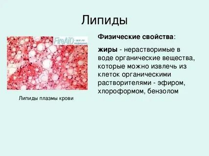 Какие ткани богаты липидами