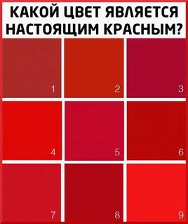 Гамма красный