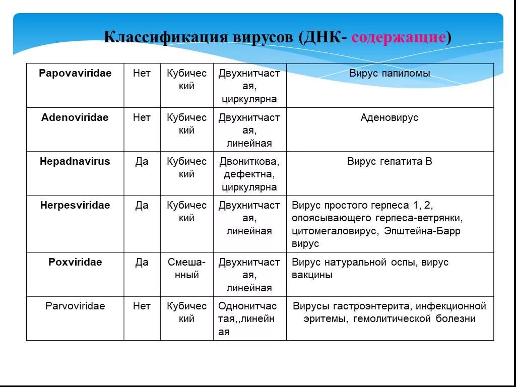 Рнк содержащие вирусы таблица. Классификация вирусов микробиология. классификация вирусов таблица. вирусы и классификация вирусов микробиология. классификация вирусов микробиология в таблице.