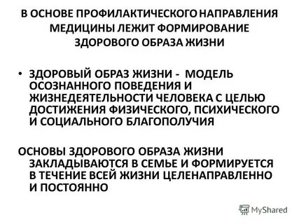 Программа основы профилактики