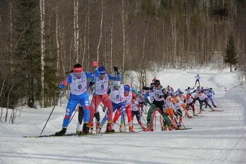 Лыжные гонки в мурманске