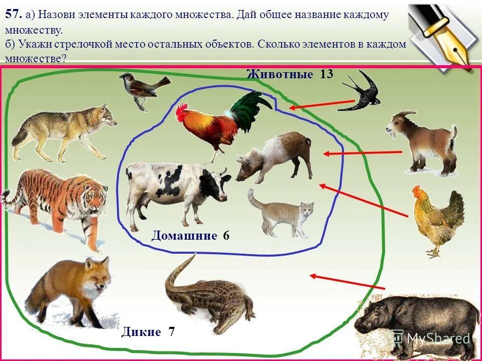 Дикие животные перечисли. Дикие и домашние животные. Множества Дикие животные. Элементы множества. Множество диких животных множество домашних животных.