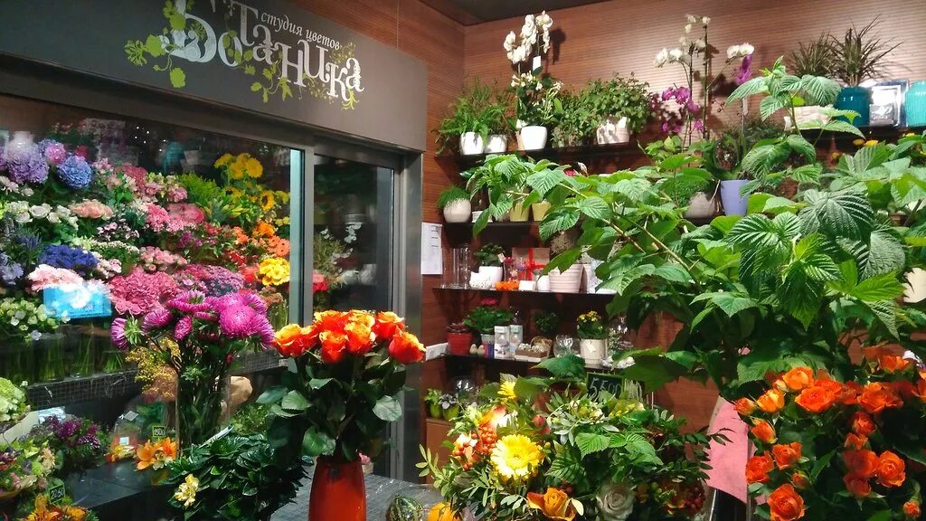 Ботаника цветочный магазин. Цветочный магазин. Название цветочного магазина. Название салона цветов.
