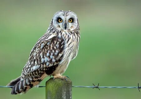 Секс және эротика туралы фильм