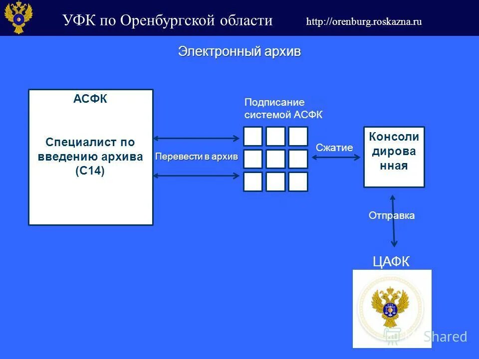 Корневой федерального казначейства