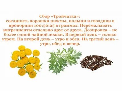 Пижма полынь гвоздика