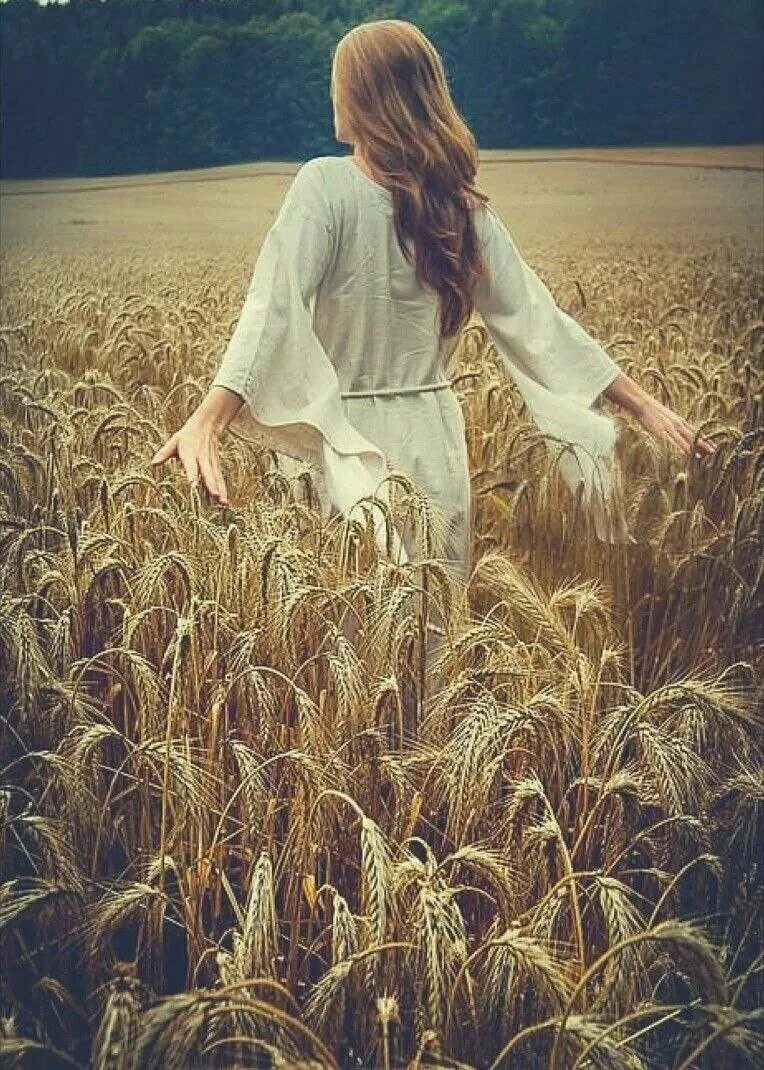 Я пошла туда где густая рожь. Девушка в поле. Девушка в пшеничном поле. Фотосессия в ржаном поле. Девушка в поле со спины.