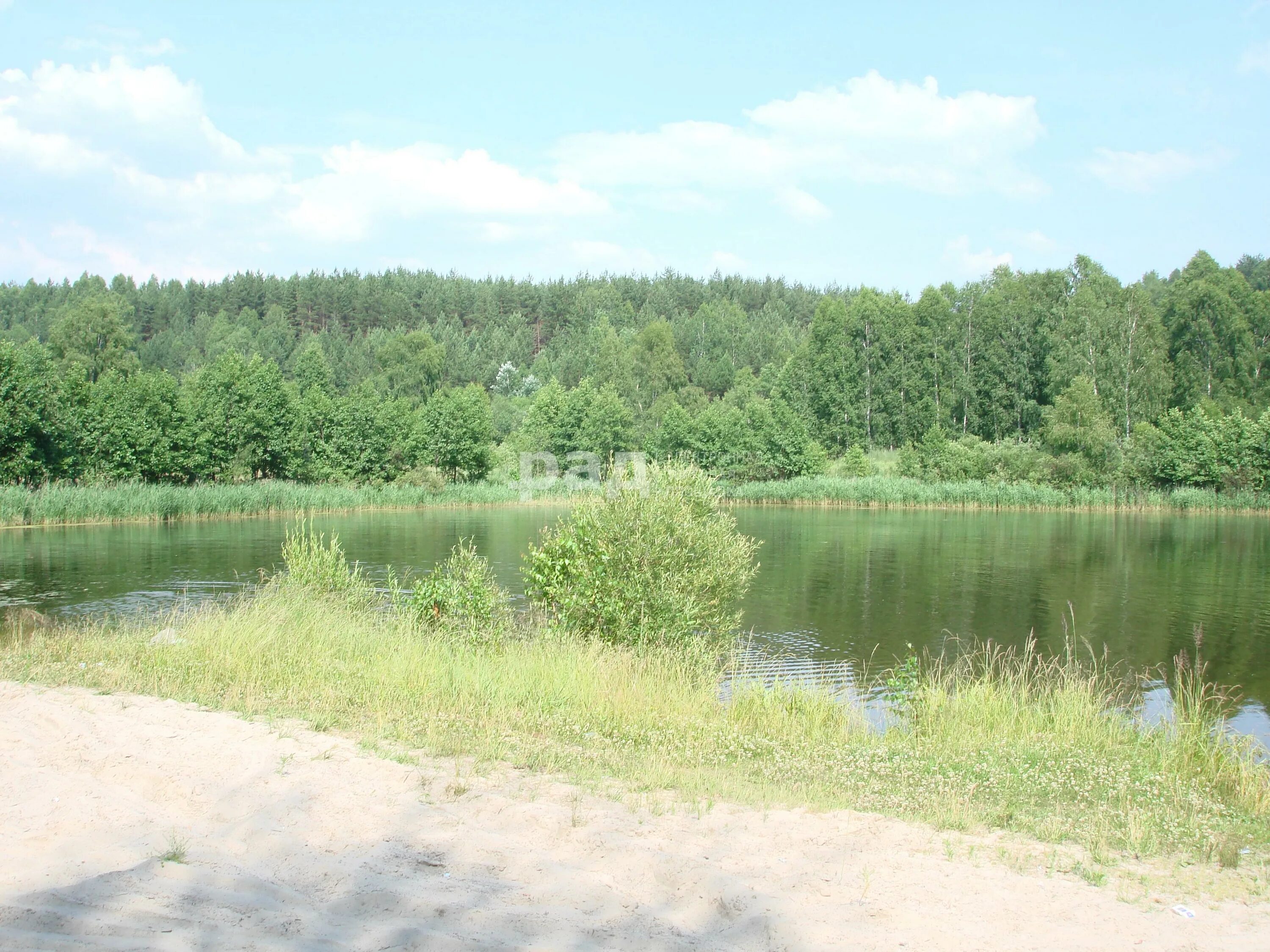 Поселок борский борский район нижегородской области. Пос чистое Нижегородской области. Поселок чистое Борское. Поселок Чистоборское Борский район Нижегородская область. Чисто Борское Борский район Нижегородская область.