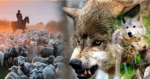 Вилама Лакшмидің барлық бөліктерін оқыңыз