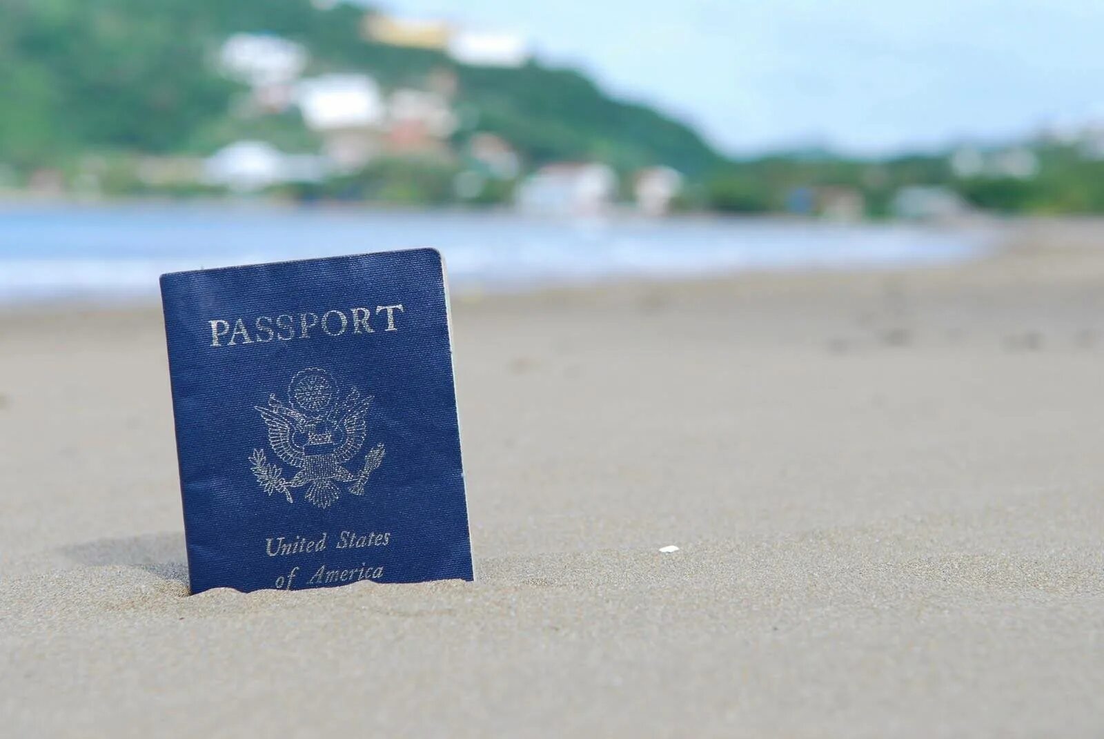 Американский паспорт. Myus. My us. Study in turkey. Potok digital логотип.