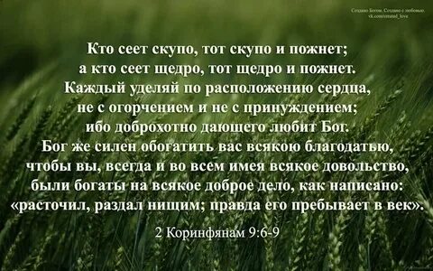 Кто сеет мир пожнет счастье значение пословицы