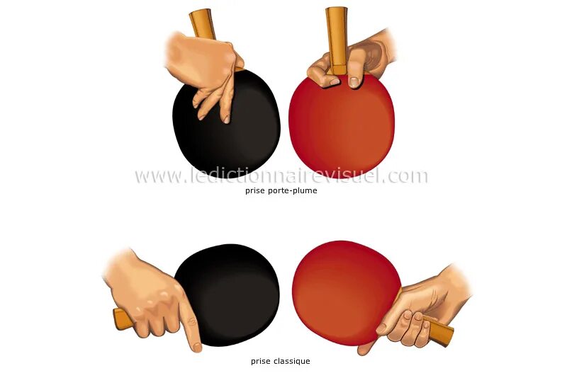 Хватка это. Способы держания ракетки. Хватка ракетки в большом теннисе. Виды хватки ракетки в настольном теннисе. Способы держания ракетки в настольном теннисе.