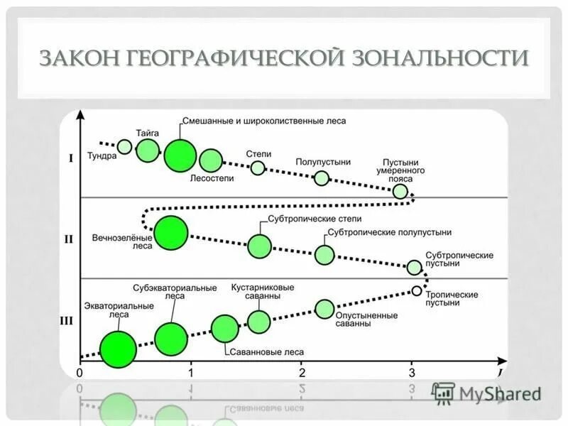 Учение о географической зональности. Принцип зональности. Географическая зональность примеры. Закон географической зональности впервые сформулировал.