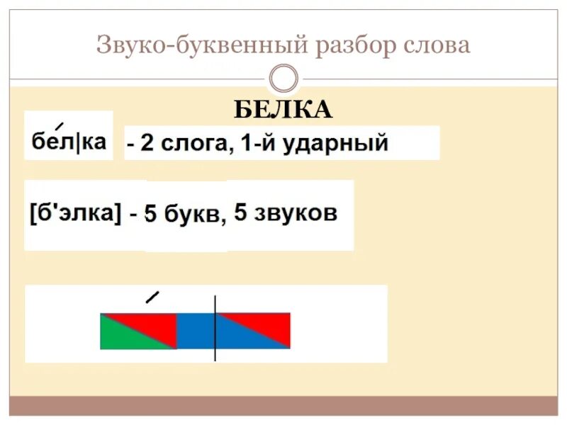 Белка количество букв и звуков