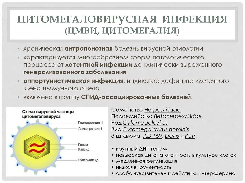 Цмв инфекция что это. Клинические симптомы цитомегаловируса. ЦМВ клинические проявления. Проявления цитомегаловирусной инфекции. Приобретенная цитомегаловирусная инфекция.