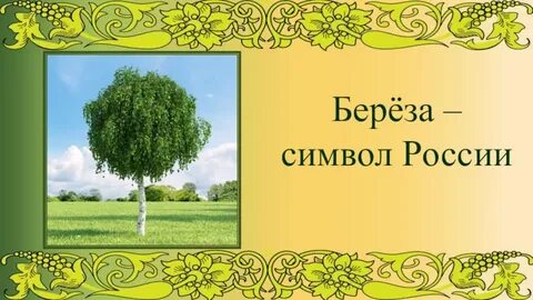 Береза символ