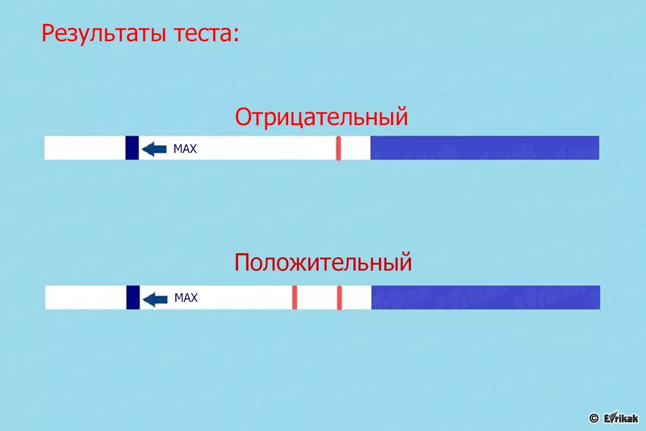 Тест на беременность. Тест положительный и отрицательный. Отрицательный тест на беременность. Тест на беременность как определить. Каким тестом проверять беременность