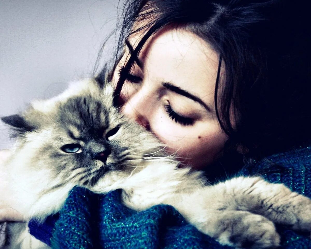 У женщины есть кот. Девушка с котом. девушка обнимает кота. девушка целует кота. кошки любовь.
