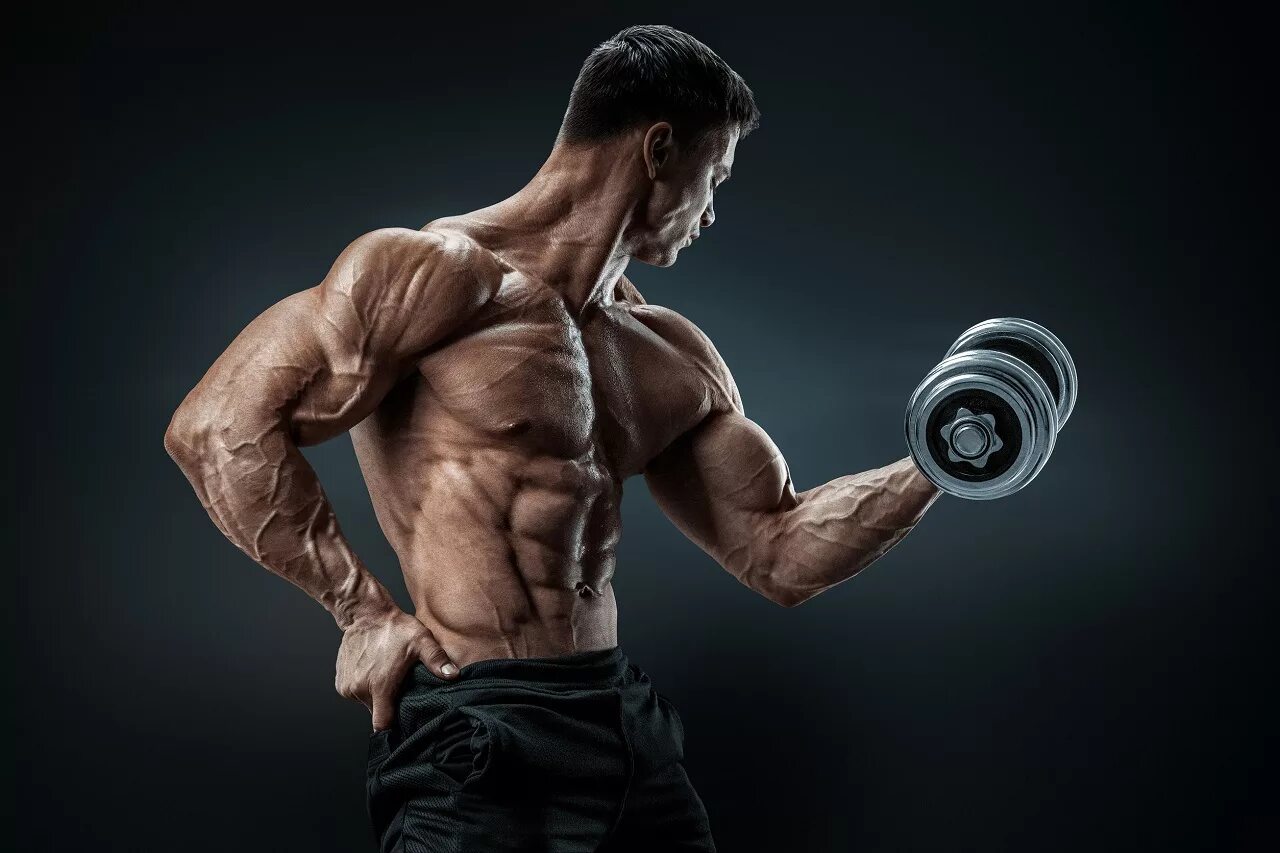 The word muscle