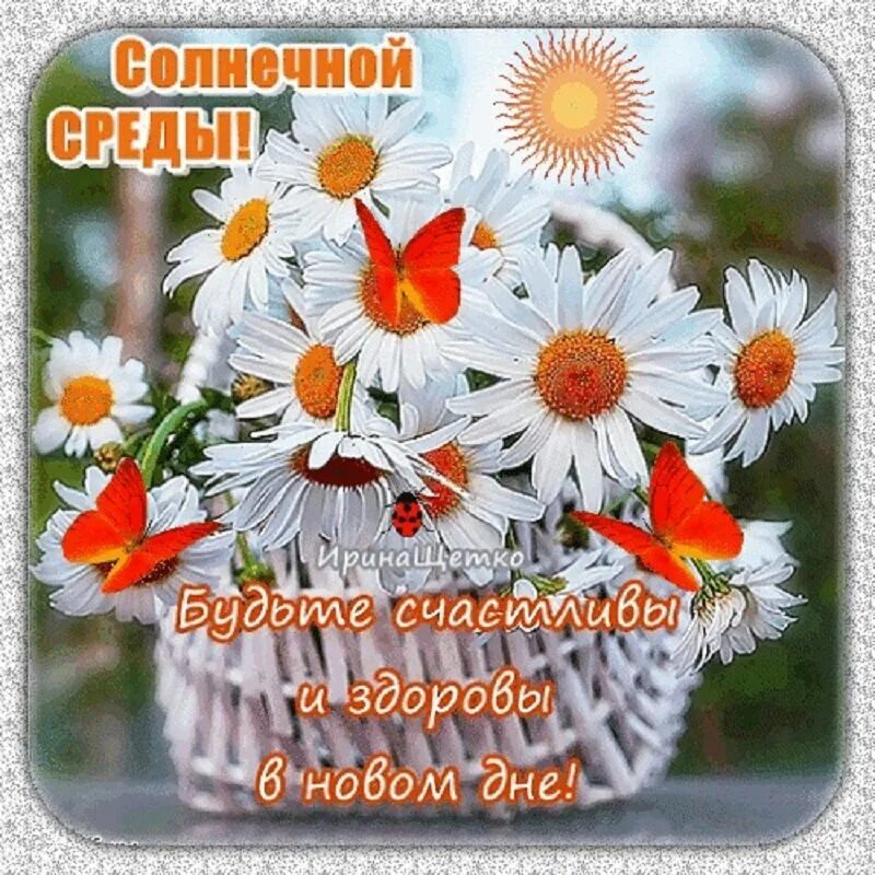 Всем доброго утра солнечного дня
