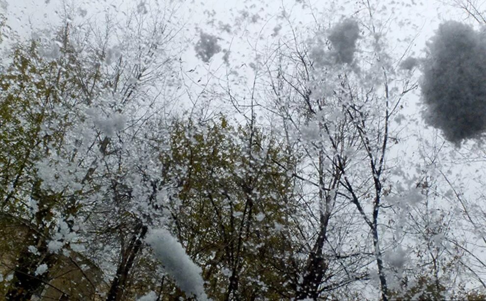 задания по синоптическим картам география 6 класс. атмосферными вихрями являются. антициклон и циклон огэ как определить. синоптическая карта 8 класс география. с циклонами зимой обычно связана пасмурная.