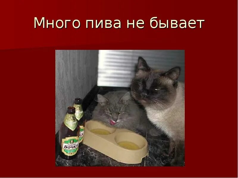 Что бывает ни разу в году