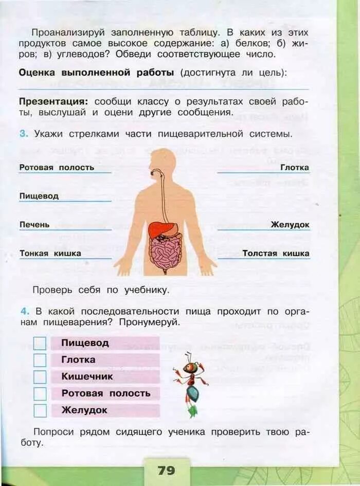 Человек 4 класс окружающий мир с названиями. Окружающий мир 3 класс рабочая тетрадь Плешаков. Окружающий мир рабочая тетрадь 1 часть 3 часть 3 класс. Окружающий мир 3 класс Плешаков рабочая тетрадь человек тема.