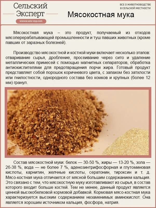 Можно ли давать муку